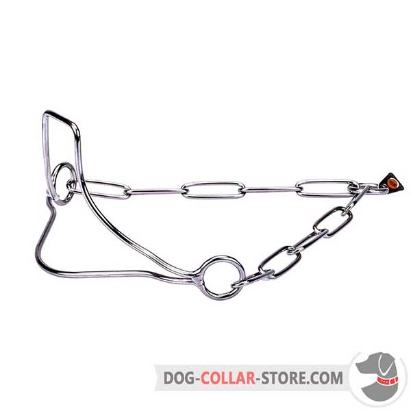 Metal show dog collar with head support