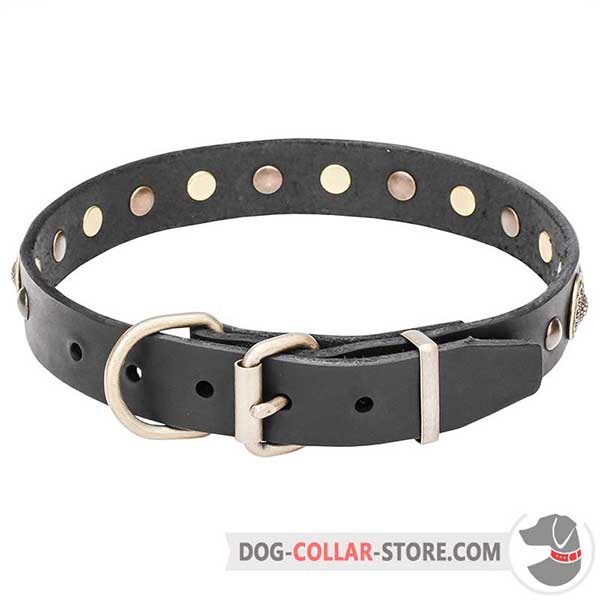 Dog Collar of strong leather with brass hardware