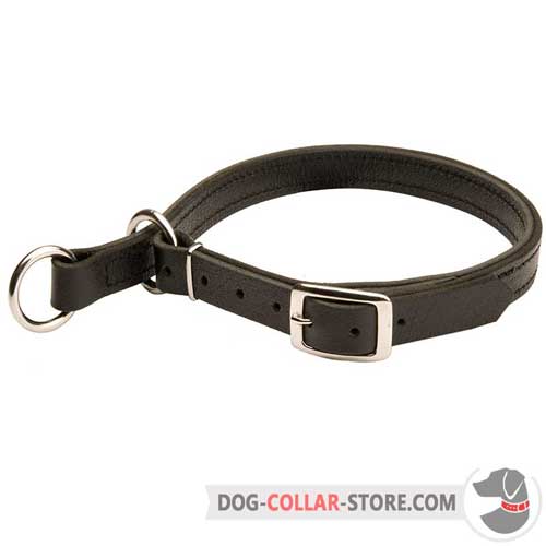 Strong Walking Leather Dog Choke Collar