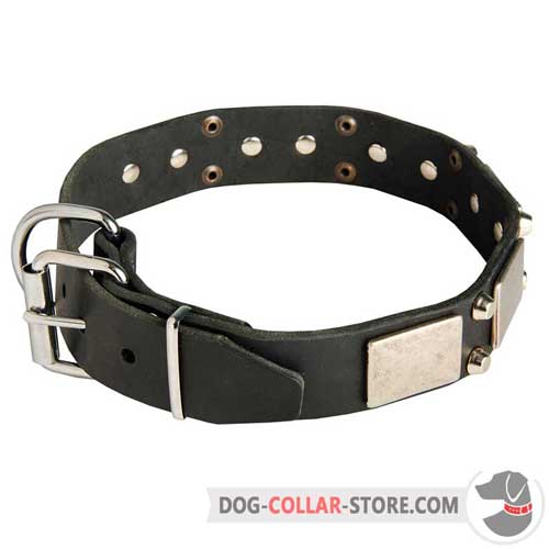 Decorated Leather Dog Collar with Reliable Nickel Plated Buckle