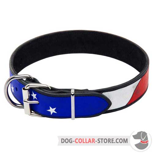 Hand Painted Decorative Leather Dog Collar With Nickel Plated Buckle
