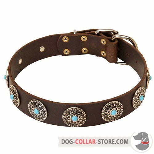 Wide Leather Dog Collar Adorned with Blue Stoned Circles