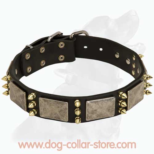 Handcrafted Leather Dog Collar with Nickel-Plated Buckle