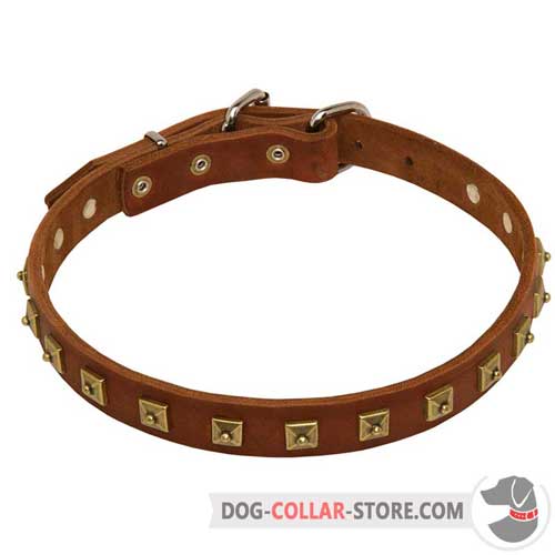 Everyday Leather Dog Collar with Original Brass-Plated Decoration
