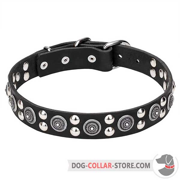 Leather Dog Collar with chrome plates and studs