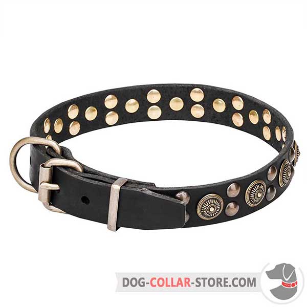 Dog Collar with strong hardware