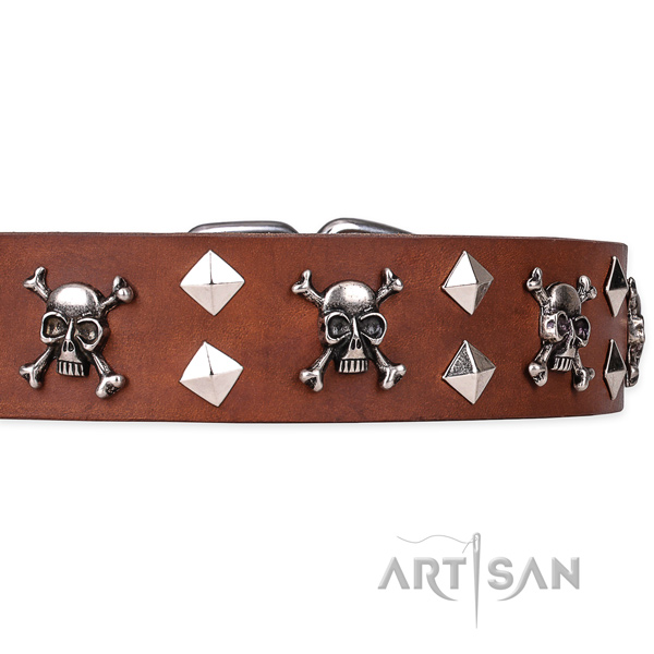 Hardwearing leather dog collar with rust-resistant elements