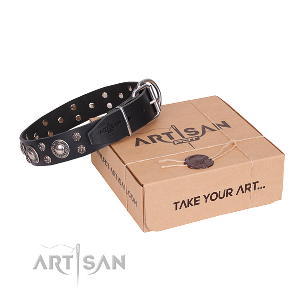 Casual style leather dog collar with remarkable embellishments