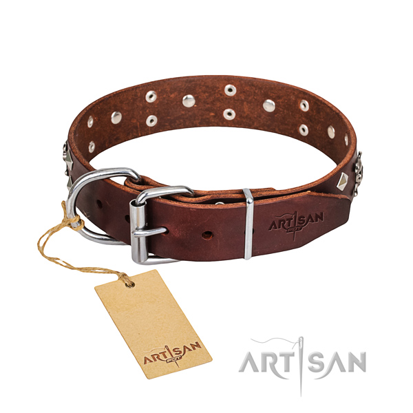 Day-to-day leather dog collar with incredible decorations