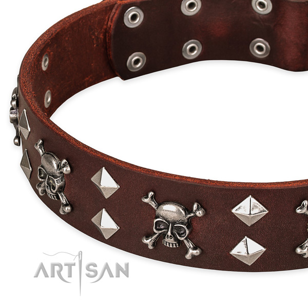 Day-to-day leather dog collar for walking