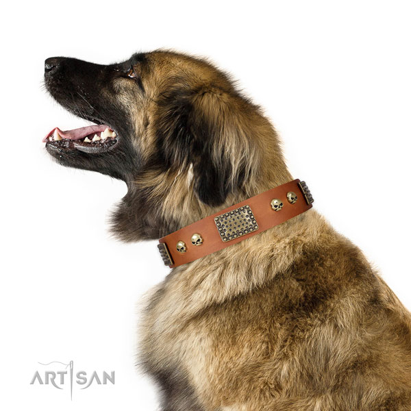 Rust-proof D-ring on natural leather dog collar for daily use