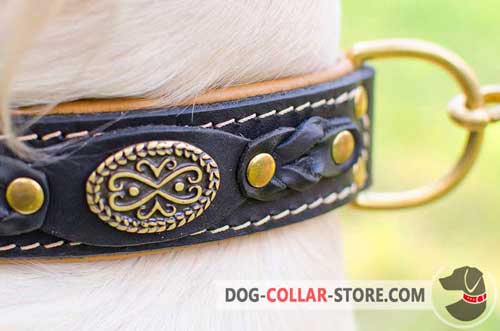 Brass Medallion On Padded Leather Dog Collar