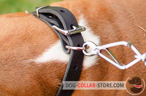 Durable Buckle on Leather Dog Collar