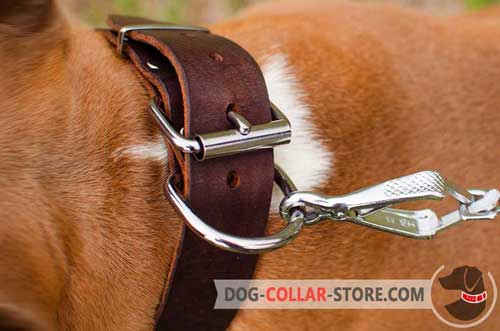 Reliable Nickel Fittings on Wide Leather Dog Collar