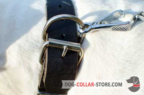 Reliable Nickel Plated Hardware on Fashion Leather Dog Collar