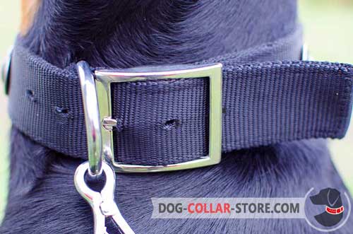 Practical Reliable Nickel Plated Hardware on Decorated Nylon Dog Collar