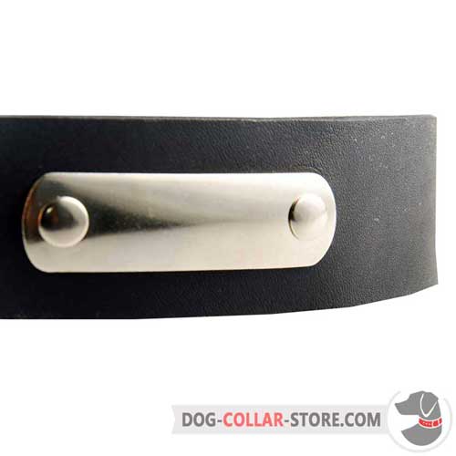 Steel Nickel Plated ID Tag on Functional Leather Dog Collar