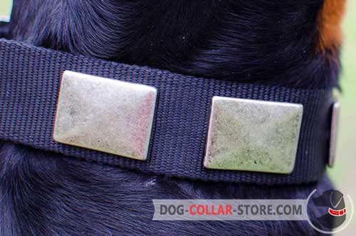 Beautiful Massive Nickel Plates on Nylon Dog Collar