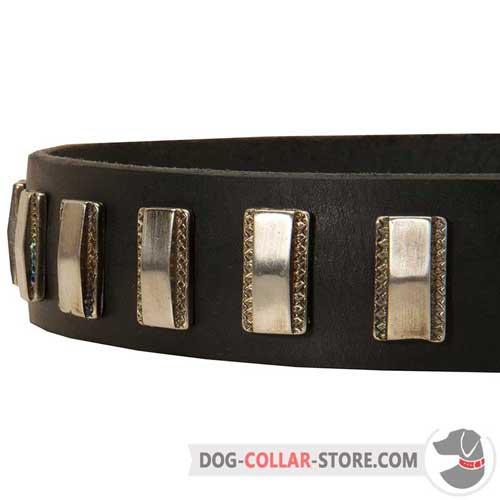 Exquisite Vertical Nickel Plates on Designer Leather Dog Collar