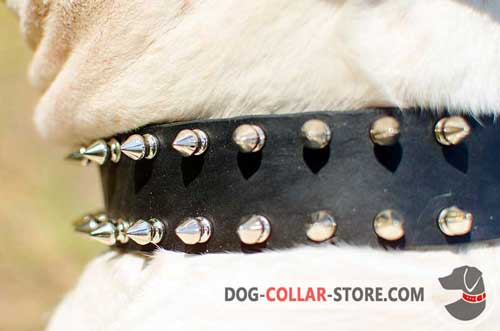 Stylish Nickel Spikes on Leather Dog Collar 