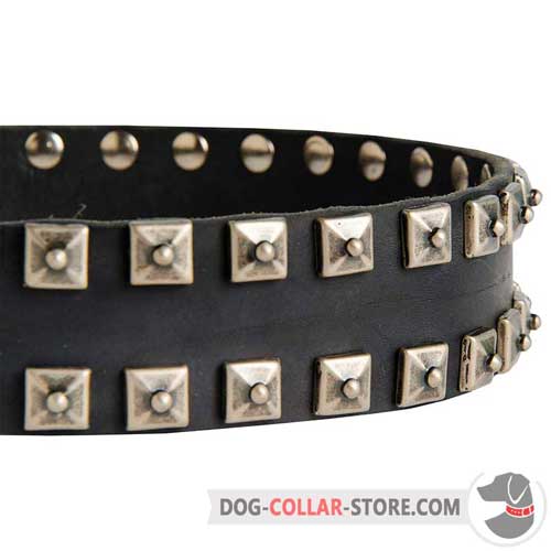 Hand-Set Nickel Studs on Designer Walking Leather Dog Collar