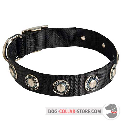 Adjustable Decorated Nylon Dog Collar for Different Breeds