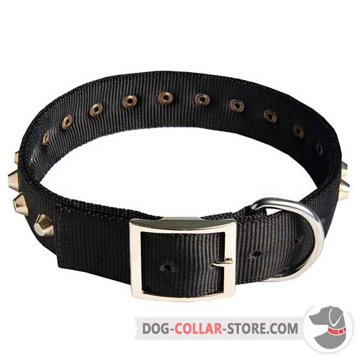 Reliable Nylon Dog Collar with Nickel Plated Buckle and Pyramids