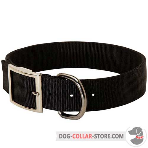Reliable Nylon Dog Collar With Nickel Plated Buckle