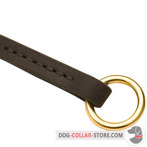 Solid O-ring on Walking Leather Dog Choke Collar