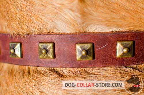 Pyramids of Original Style on Leather Dog Collar