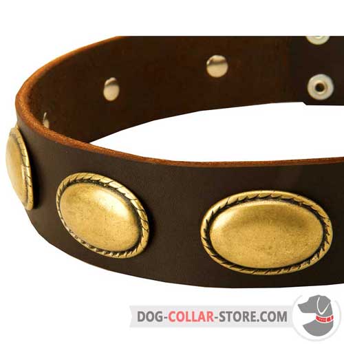 Oval Brass Plates on Vintage Looking Leather Dog Collar