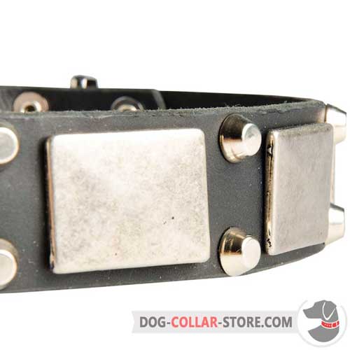 Solid Nickel Plates and Pyramids On Leather Dog Collar