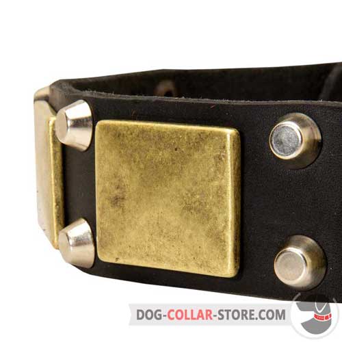 Brass Plates and Nickel Pyramids on Easy Adjustable Leather Dog Collar