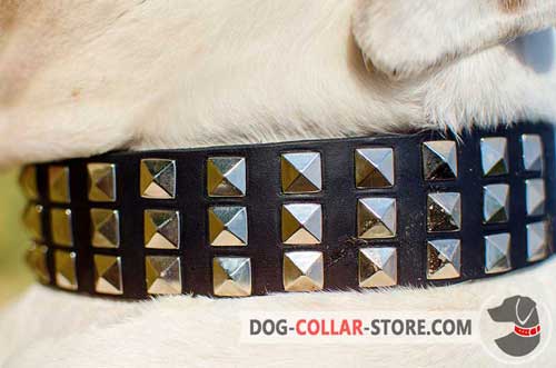 Metal Pyramids on Designer Leather Dog Collar for Walking