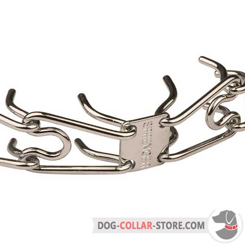 Chrome Plated Prongs on Dog Pinch Collar