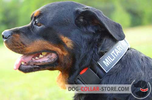 Nylon Dog Collar for Rottweiler Safe Walking