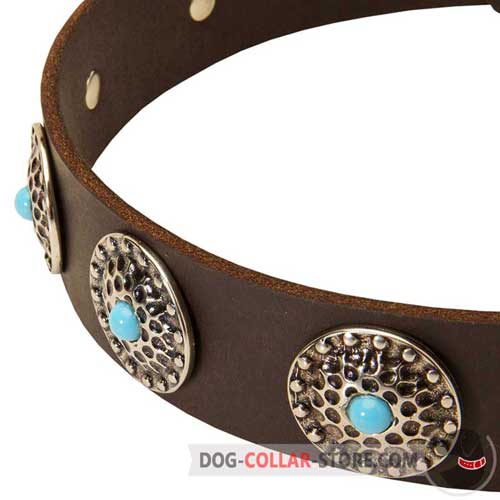 Marvelous Silver Plated Circles on Designer Leather Dog Collar