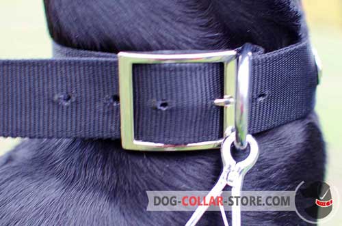 Durable Metal Buckle on Nylon Dog Collar