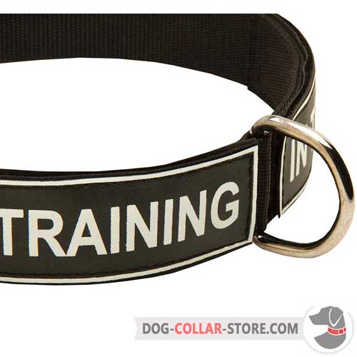 Reliable Nickel-Plated D-Ring on Nylon Dog Collar