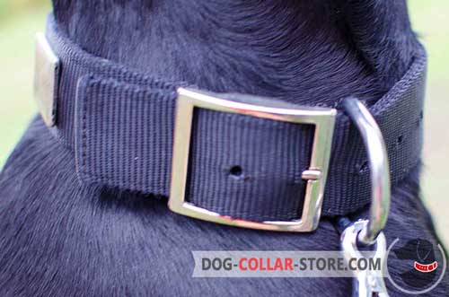 Rustproof  Nickel Plated Fittings On Nylon Dog Collar