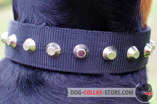 Reliable Studded Decoration on Nylon Dog Collar