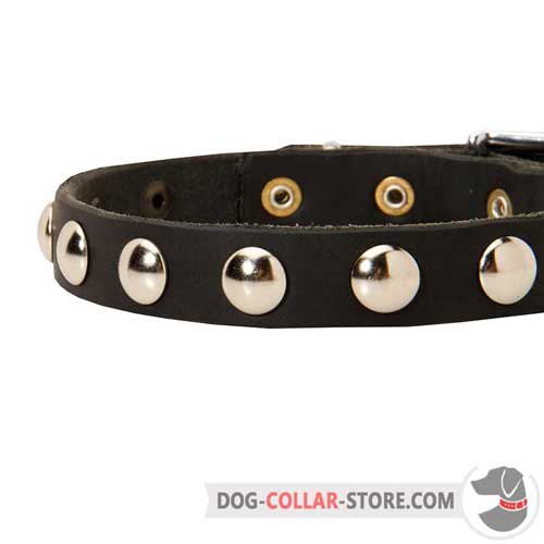 Fashion Nickel Studs on Leather Dog Collar