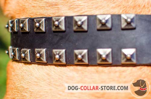 Strong Nickel Studs on Easy Adjustable Leather Dog Collar