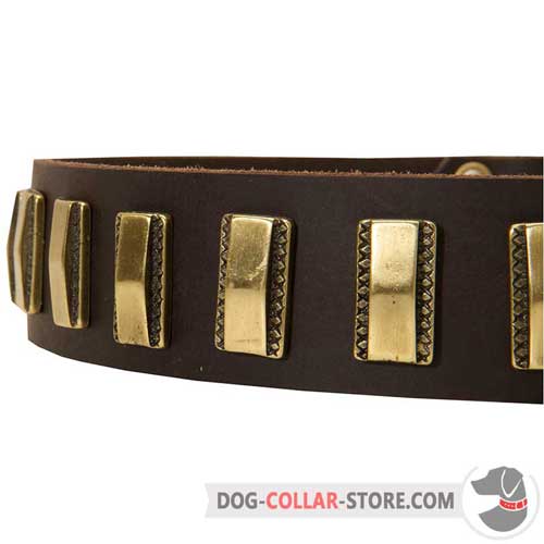 Shiny Vertical Brass Plates on Fashion Leather Dog Collar for Walking