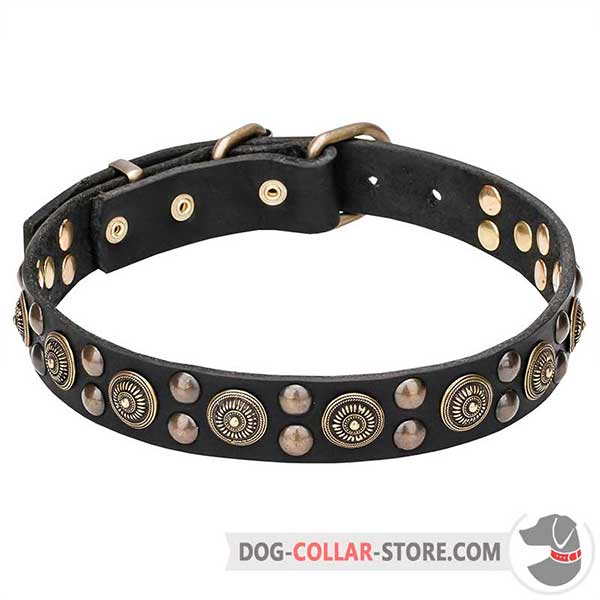Leather Dog Collar with plates and studs