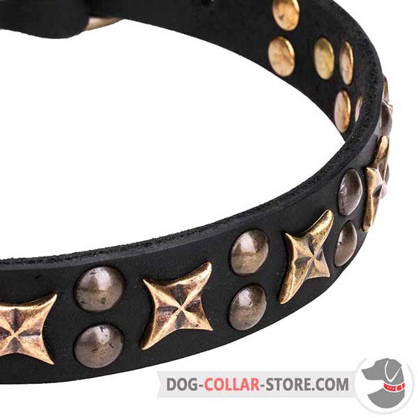 Brass Studs and Stars on Wide Dog Collar