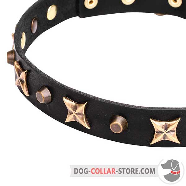 Brass plated Cones and Stars on Narrow Dog Collar