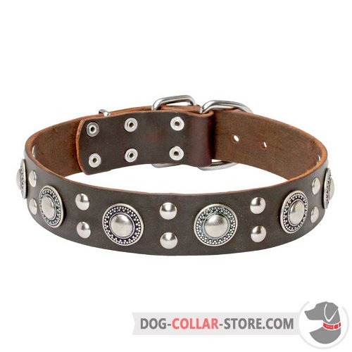 Leather Dog Collar designed for walking and obedience training