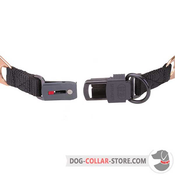 Click lock buckle on dog prong collar