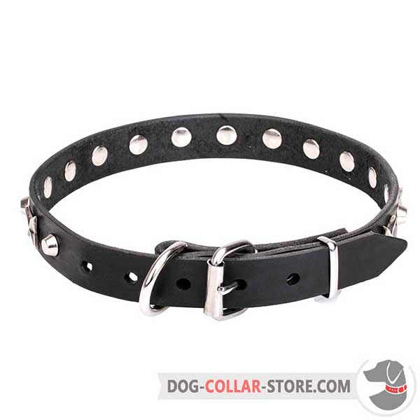 Dog Collar with chrome plated hardware